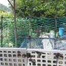 합성동112 이미지