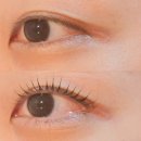 대구 두산동속눈썹펌 너무 만족러웠던 노글루 블랙틴팅 속눈썹펌 후기 엘도라샵
