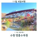 영흥수목원 전시온실 | 서울근교나들이 수원 영흥수목원 늦가을풍경 전시온실 꿈꾸는 말 전시