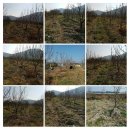여주-0134 Daum카페