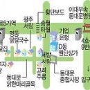 원조닭칼국수 네이버블로그