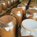 초막농장 이미지