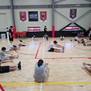 프로발리볼센터 이미지