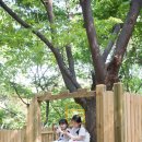 호텔 숲 이미지