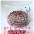 러브바디톡