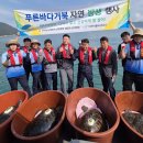 푸른바다 이미지