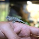 준호농장 이미지