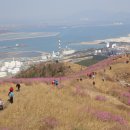 꽃길따라 이미지