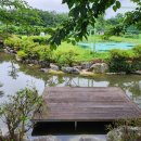 장흥숲길캠핑장 이미지