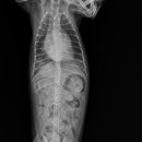 아쿠아동물병원 이미지