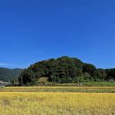 황금들녘 이미지