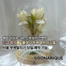 유리돔 모드등 | 마포·상암·홍대 신부님이 선택한 클래식 부케재현 유리돔 | 해외 이민 D-30 긴급 제작 후기