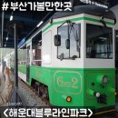 해운대블루라인(주)청사포정거장 이미지