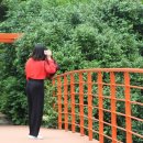 아름다운김밥 이미지