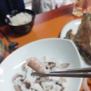고흥 산낙지 직송 신선도와 배송 속도 모두 만족스러운 야생수산
