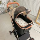 초이스펫 이미지