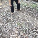 광덕산2로 | [광덕산 후기] 극락도 락이다🎸