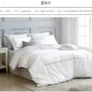 알레르망화성 이미지