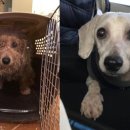 조던농장 이미지