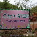 카페수노기