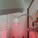 백록당한의원 이미지