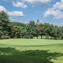 뉴코리아 이미지