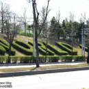 황구지천 자전거길(하천) 이미지