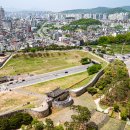 수원 노컷뉴스