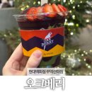 현대무역센터점스펙터 | 오크베리 현대백화점무역센터점 | 내돈내산 후기