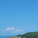 대월2천 이미지