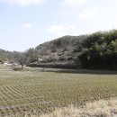 도기도기 이미지