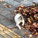 바카티오PT 성북천점 | 25년 11월-3