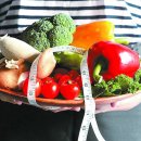 그린핏 코리아 이미지