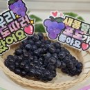 일비농장 이미지