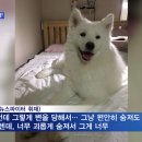 상봉동-057 티스토리