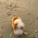 모도리어촌체험휴양마을 이미지