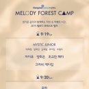 포레스트 이미지