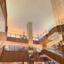 루돌프인터내셔널 | 신세계백화점 강남점 원더랜드 크리스마스 마켓 팝업｜예약 없이 즐기는 겨울 감성 축제