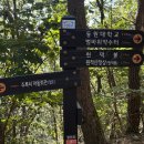 [산봉우리X컬럼비아] 한글날에 다녀온 경기도의 알프스 '원적산' 산행(+세종대왕역사문화관) 후기