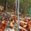 다솔농장 이미지