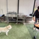 선셋파머스 이미지