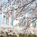 신안곡천 이미지