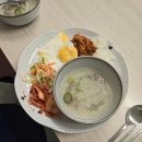 [2024 모녀 유럽 자유여행] Day 6 - 피렌체에서 피사, 친퀘테레 하루에 부시기!