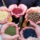 (재)장성먹거리통합지원센터 이미지