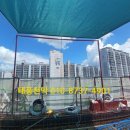 그늘막103 이미지