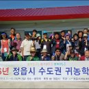 행복한 굼벵이 마을 이미지