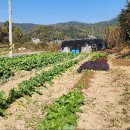 마하공인중개사사무소 이미지