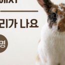 위캔두신경과의원