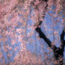 중산공원 이미지