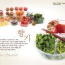 태방파텍 이미지